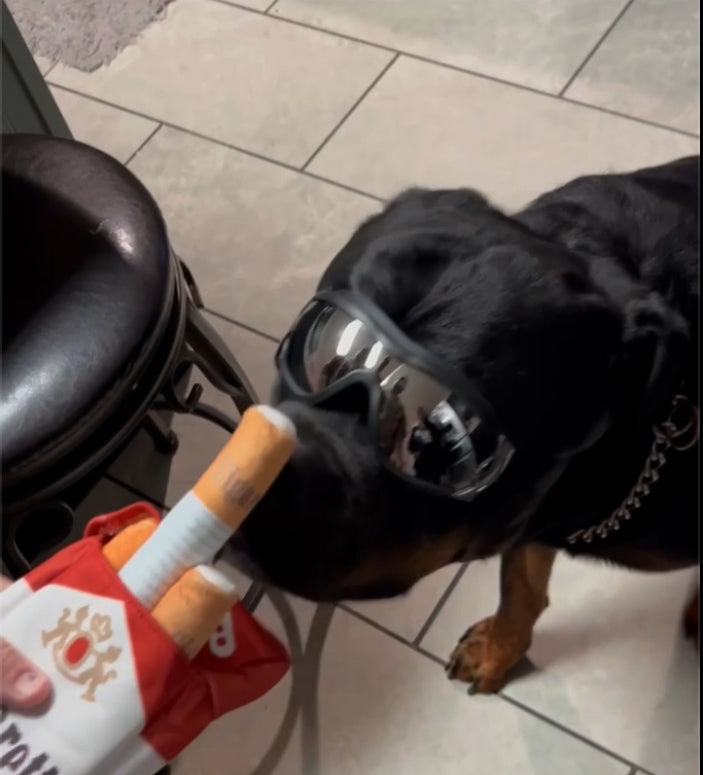 PAWELT Kauspielzeug für deinen Hund