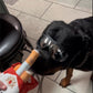 PAWELT Kauspielzeug für deinen Hund