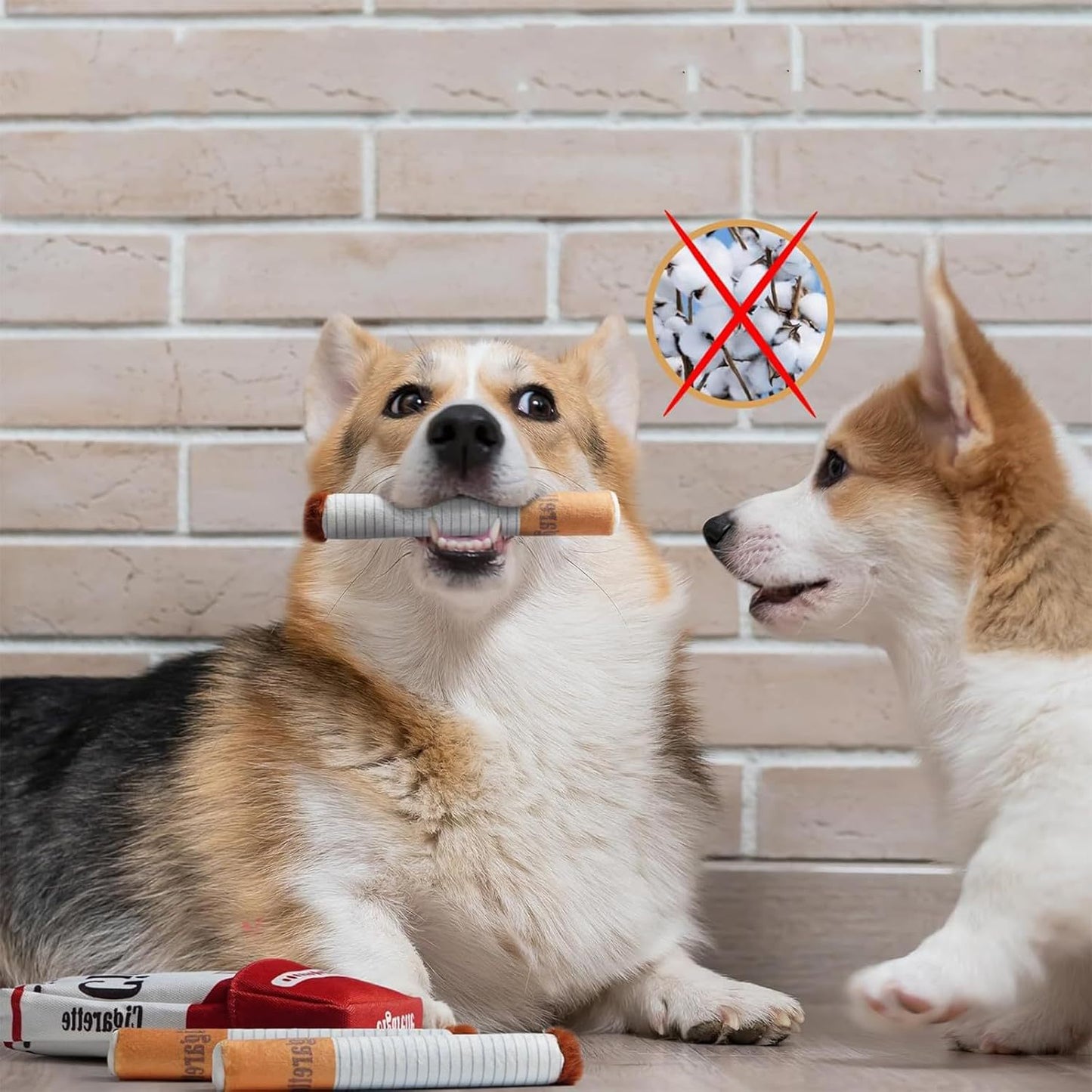 PAWELT Kauspielzeug für deinen Hund