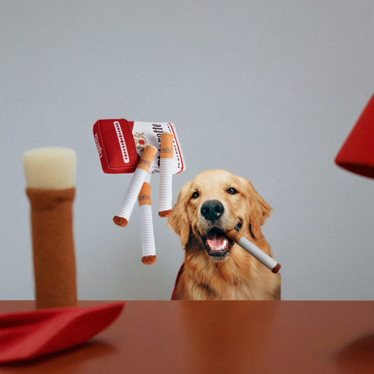 PAWELT Kauspielzeug für deinen Hund